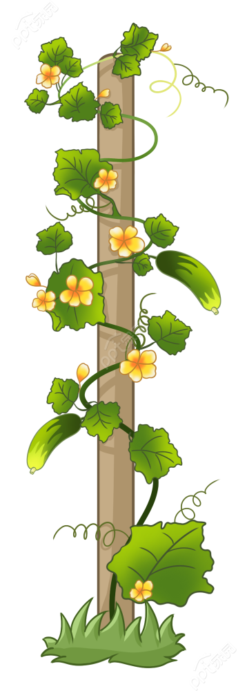 卡通手绘丝瓜藤向上生长植物透明底图片素材