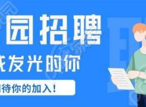 校园招聘寻找发光的你期待你的加入男孩公众号首图下载推荐