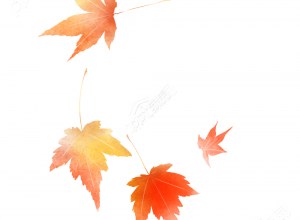 落叶图片下载推荐