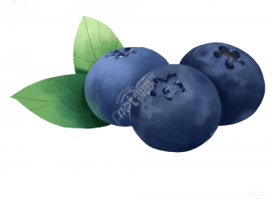 蓝莓照片下载推荐