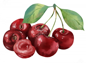 樱桃照片下载推荐