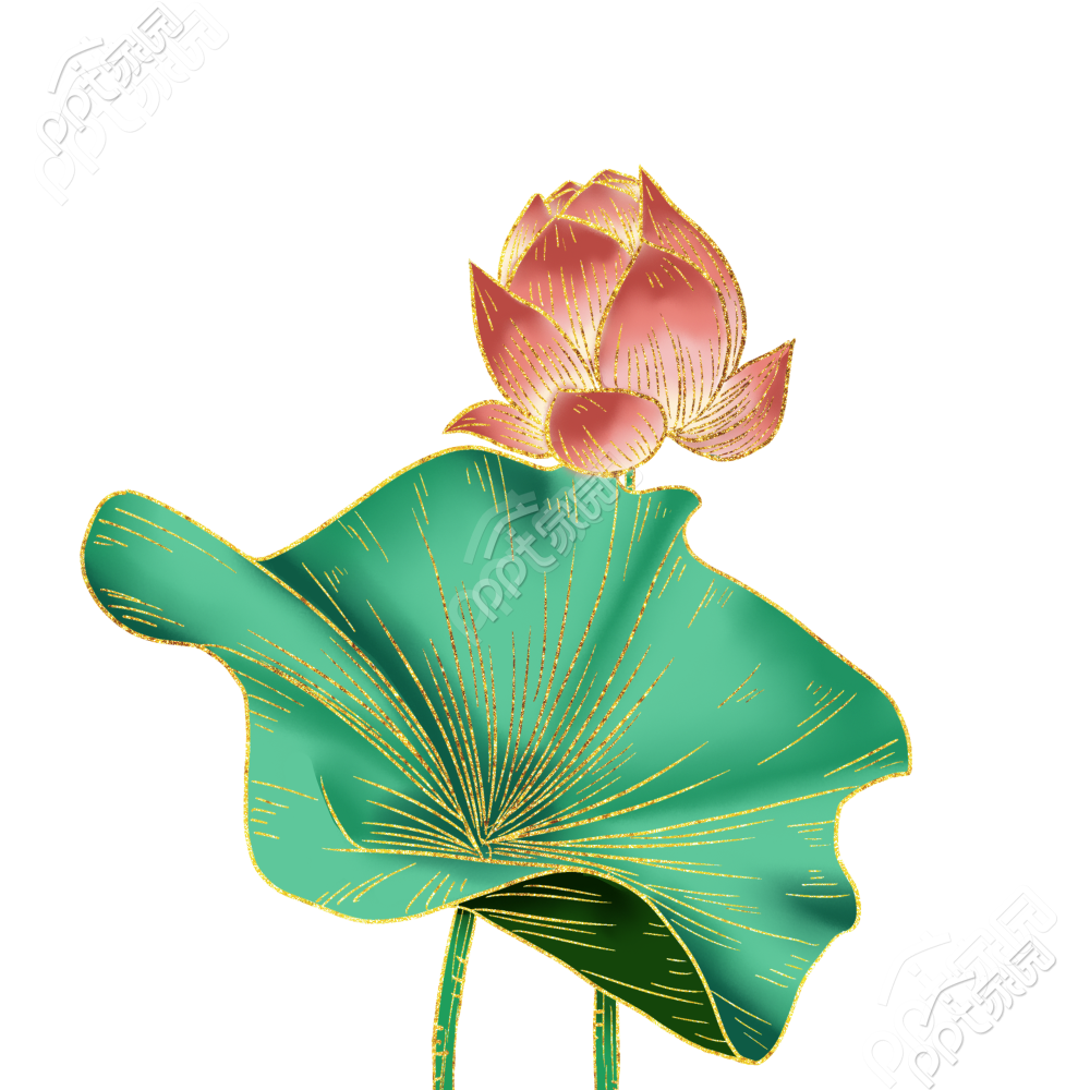 国潮荷花图片素材